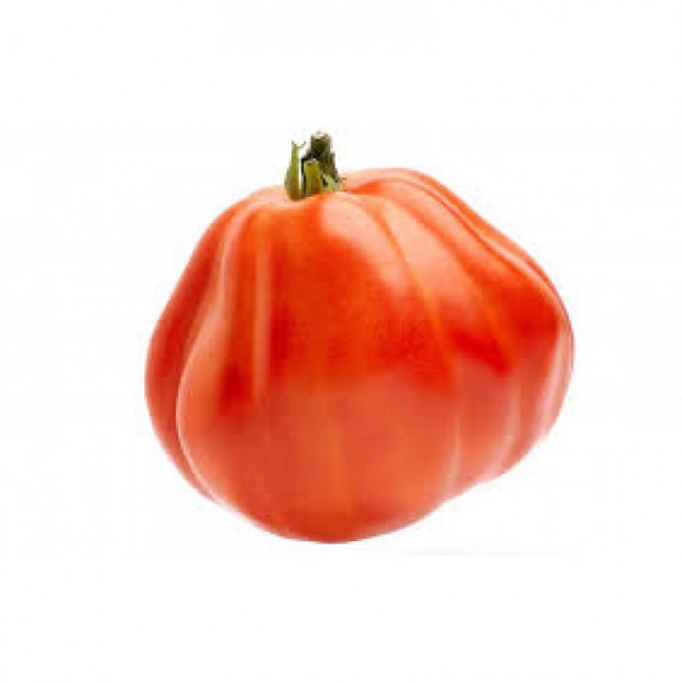 tomate corazon de buey 1